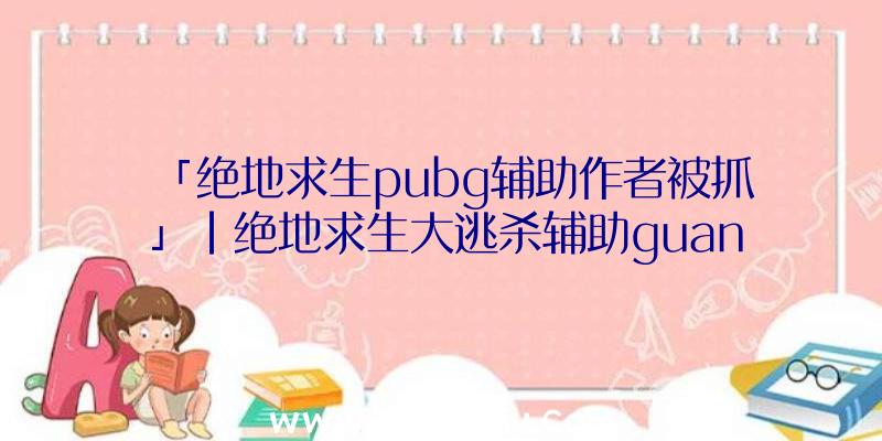 「绝地求生pubg辅助作者被抓」|绝地求生大逃杀辅助guan